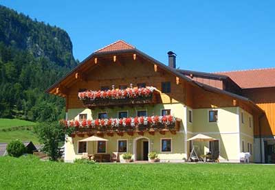 Bio-Bauernhof Vorderbärnau
