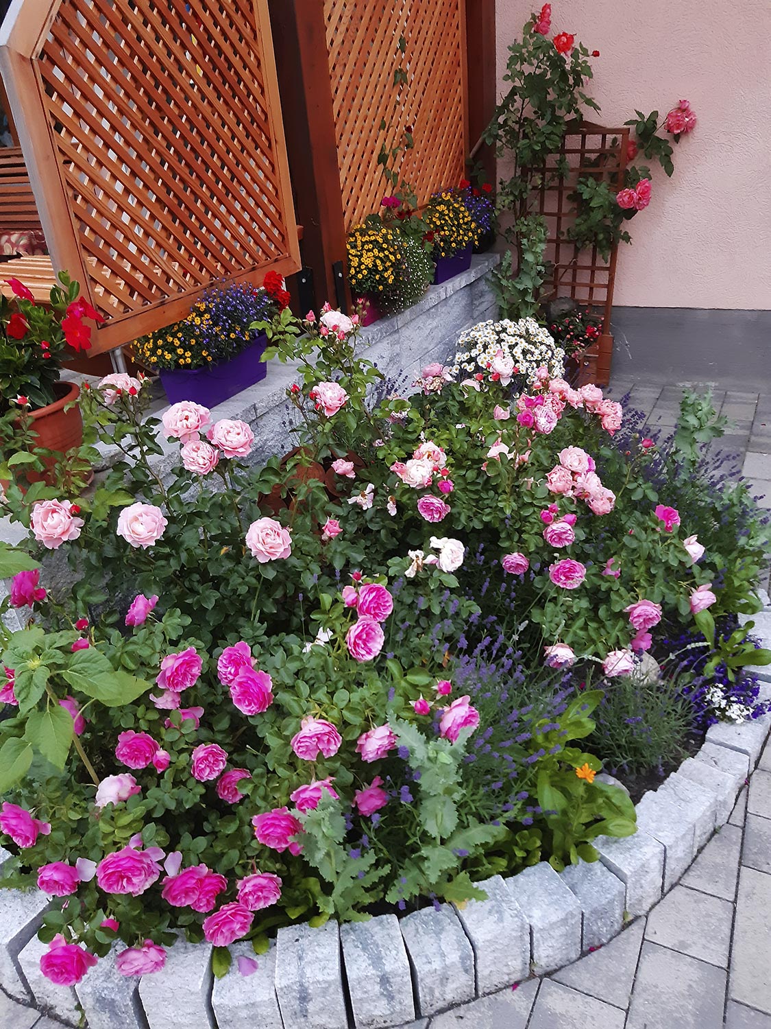 Flowers in the Garden
