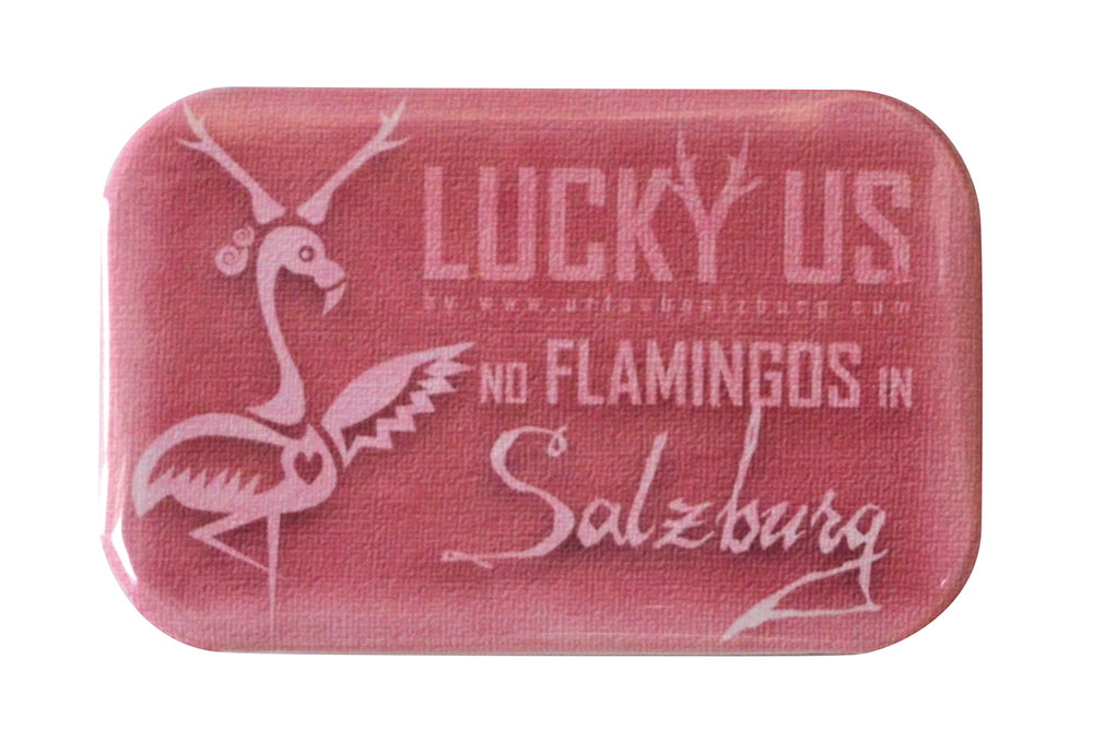 Kühlschrankmagnet Lucky us  No Flamingos in Salzburg