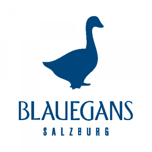 Arthotel Blaue Gans